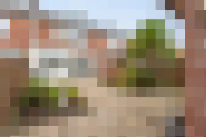 Rembrandtstraat 57 Hardinxveld-Giessendam thumbnail 24