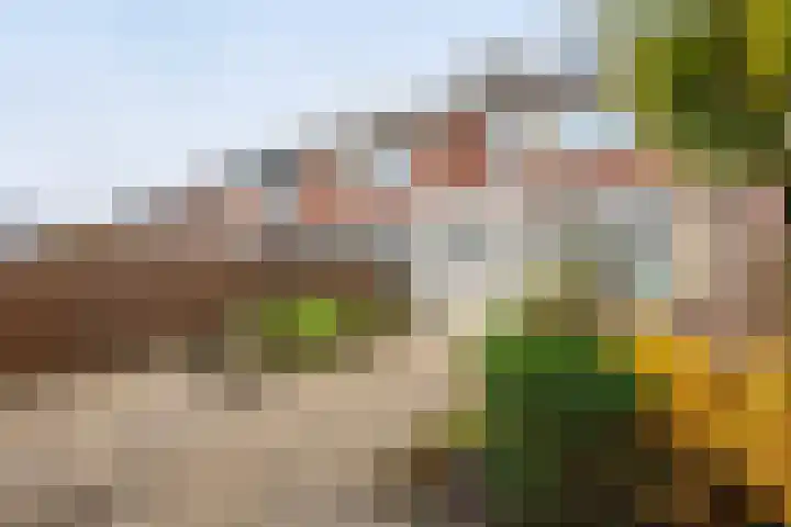 Rembrandtstraat 57 Hardinxveld-Giessendam thumbnail 25