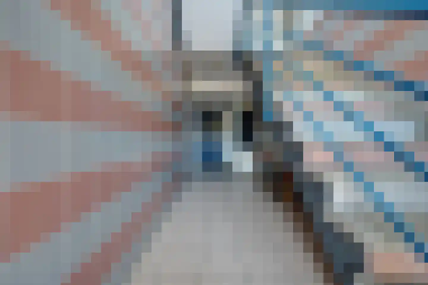 Rembrandtstraat 58 A Spijkenisse thumbnail 29