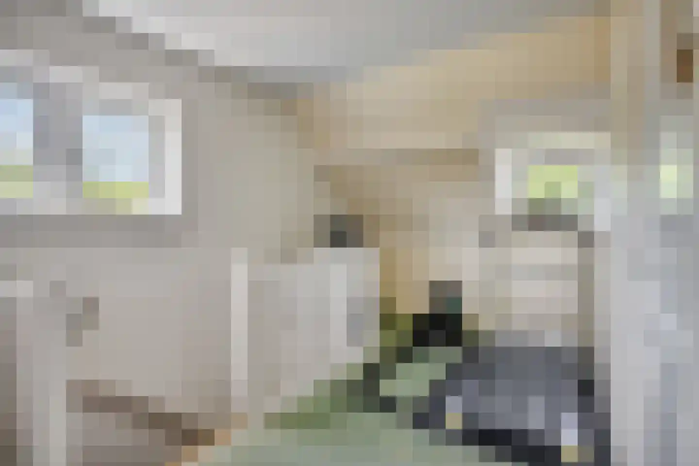 Rembrandtstraat 58 Nijmegen thumbnail 42