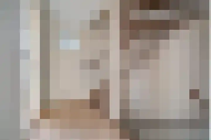Rembrandtstraat 59 Zaltbommel thumbnail 12