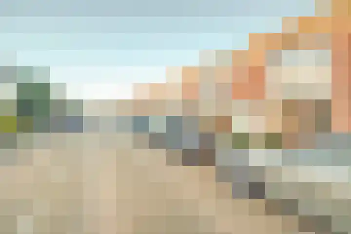 Rembrandtstraat 59 Zaltbommel thumbnail 8