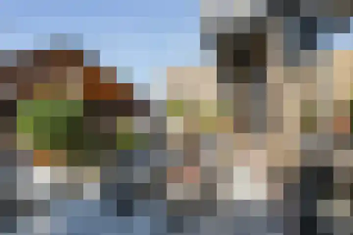 Rembrandtstraat 6 Monster thumbnail 12