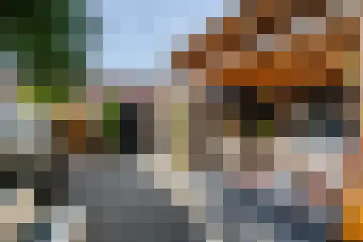 Rembrandtstraat 6 Monster thumbnail 13