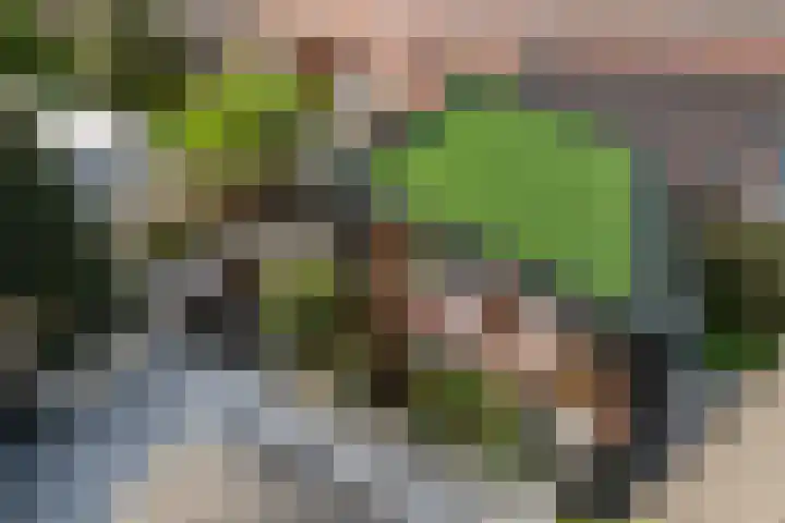 Rembrandtstraat 6 Monster thumbnail 40