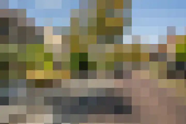 Rembrandtstraat 6 Monster thumbnail 41