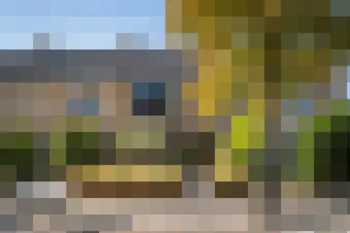 Rembrandtstraat 6 Monster thumbnail 42
