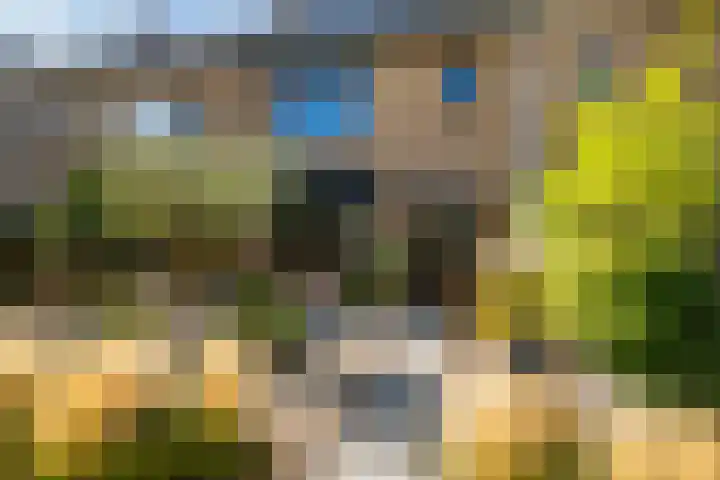 Rembrandtstraat 6 Monster thumbnail 43