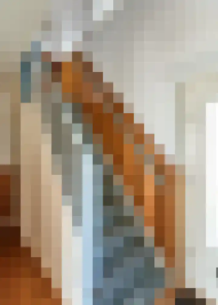 Rembrandtstraat 6 Nietap thumbnail 12