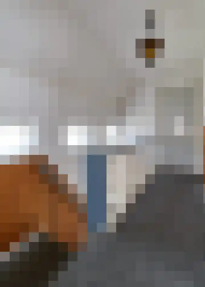 Rembrandtstraat 6 Nietap thumbnail 13