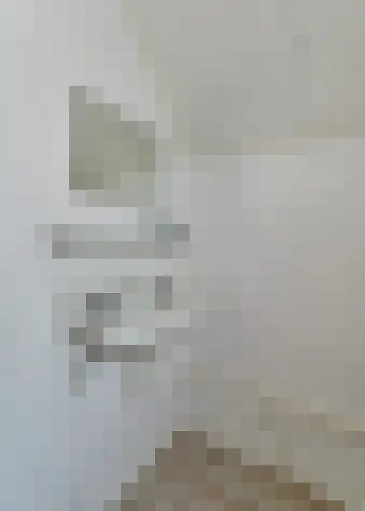 Rembrandtstraat 6 Nietap thumbnail 16