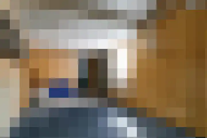 Rembrandtstraat 6 Nietap thumbnail 20