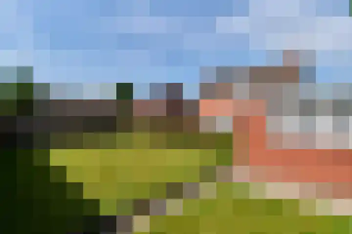 Rembrandtstraat 6 Nietap thumbnail 23