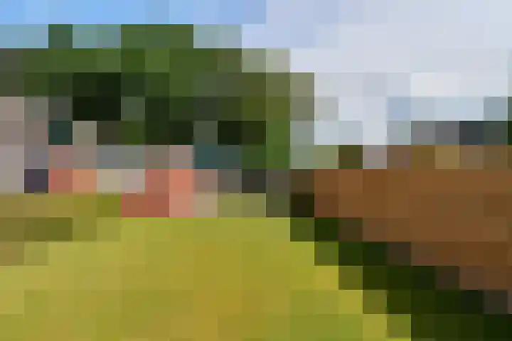 Rembrandtstraat 6 Nietap thumbnail 24