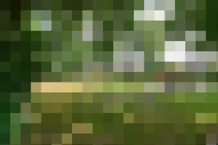 Rembrandtstraat 6 Nietap thumbnail 30