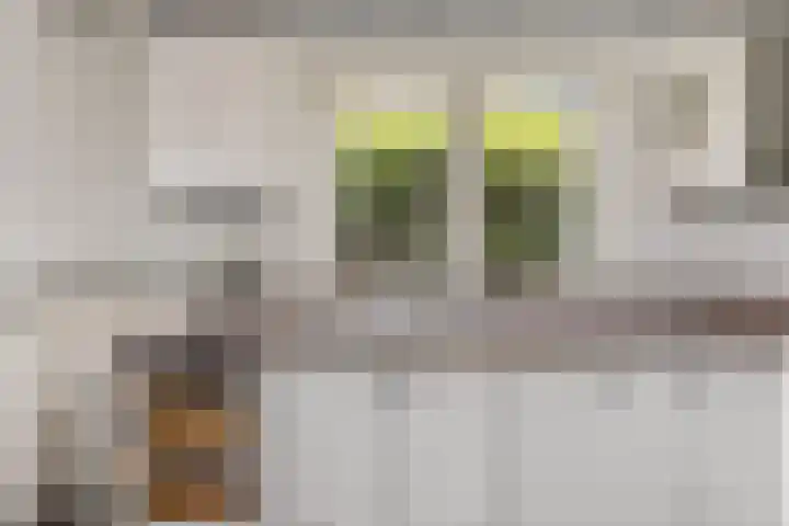Rembrandtstraat 6 Voorthuizen thumbnail 16