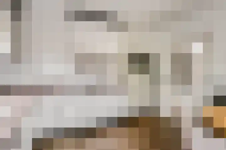 Rembrandtstraat 6 Voorthuizen thumbnail 17