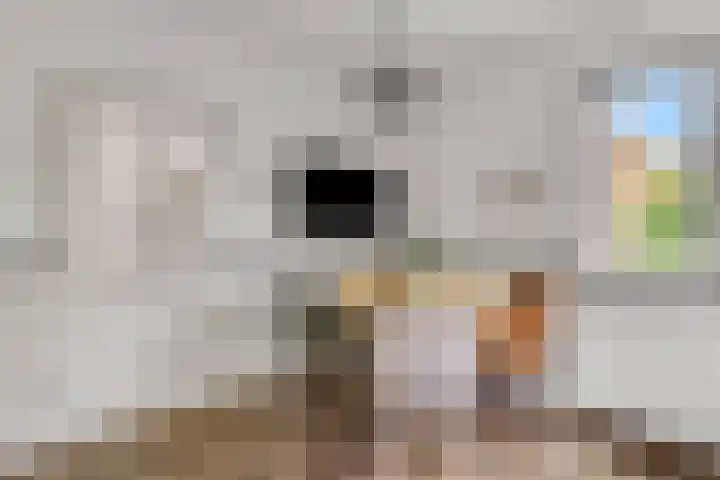 Rembrandtstraat 6 Voorthuizen thumbnail 19
