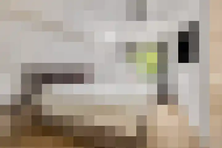 Rembrandtstraat 6 Voorthuizen thumbnail 26