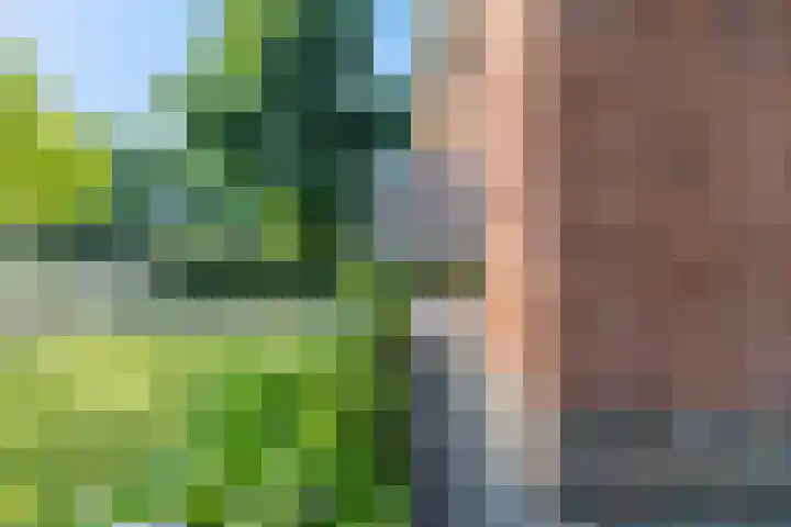 Rembrandtstraat 6 Voorthuizen thumbnail 32