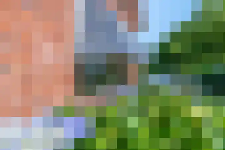 Rembrandtstraat 6 Voorthuizen thumbnail 33