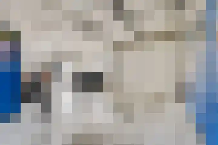 Rembrandtstraat 6 Voorthuizen thumbnail 43