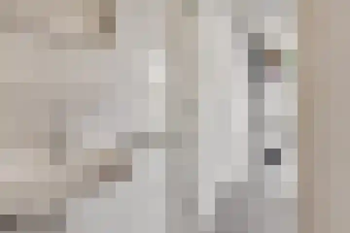 Rembrandtstraat 6 Voorthuizen thumbnail 48