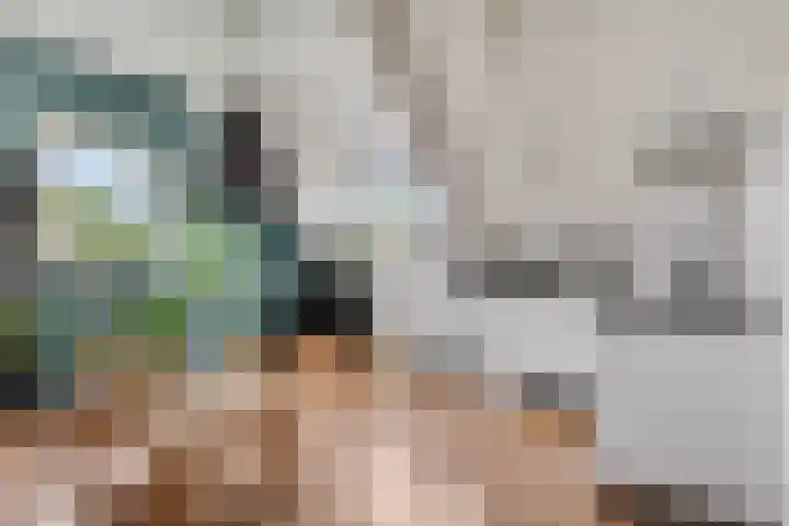Rembrandtstraat 6 Voorthuizen thumbnail 52