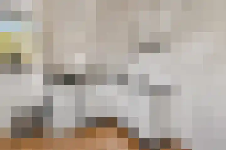 Rembrandtstraat 6 Voorthuizen thumbnail 54
