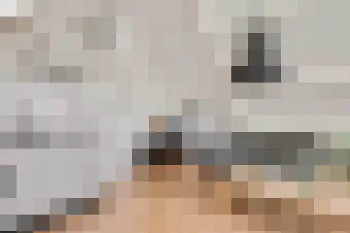 Rembrandtstraat 6 Voorthuizen thumbnail 56