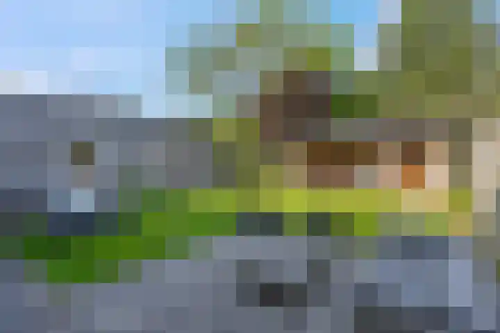 Rembrandtstraat 6 Voorthuizen thumbnail 58