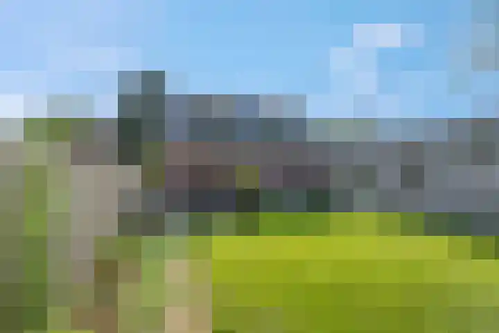 Rembrandtstraat 6 Voorthuizen thumbnail 59