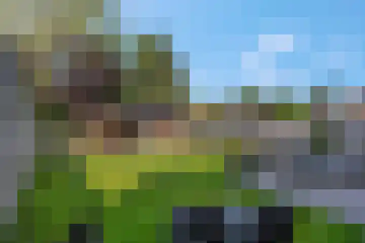 Rembrandtstraat 6 Voorthuizen thumbnail 60
