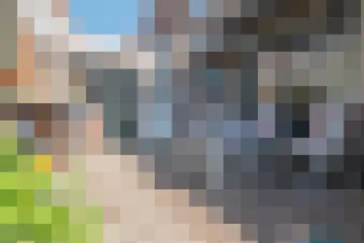 Rembrandtstraat 6 Zaandam thumbnail 4