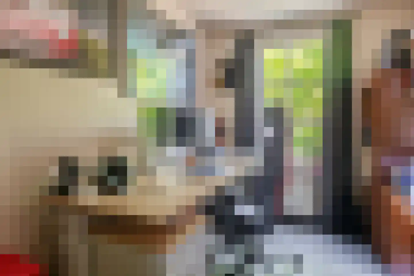 Rembrandtstraat 61 Baarlo thumbnail 15