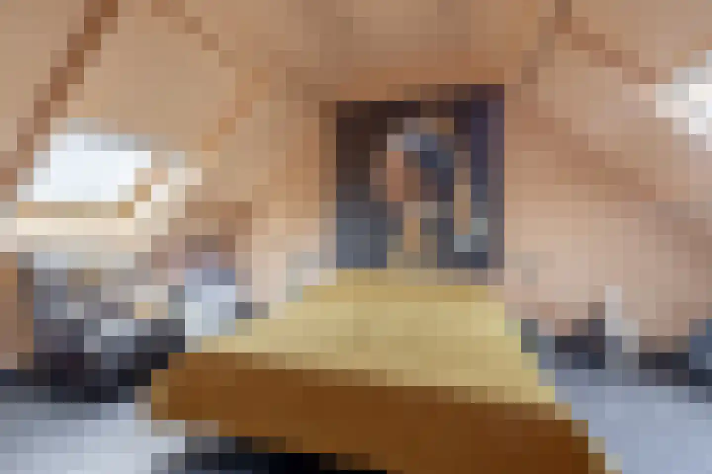 Rembrandtstraat 61 Baarlo thumbnail 4