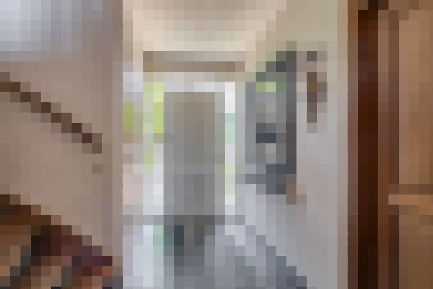 Rembrandtstraat 61 Baarlo thumbnail 6