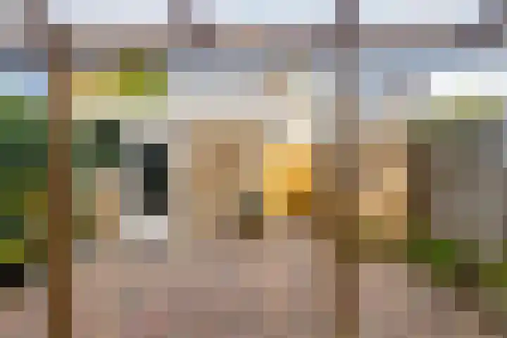 Rembrandtstraat 62 Oud-Beijerland thumbnail 36
