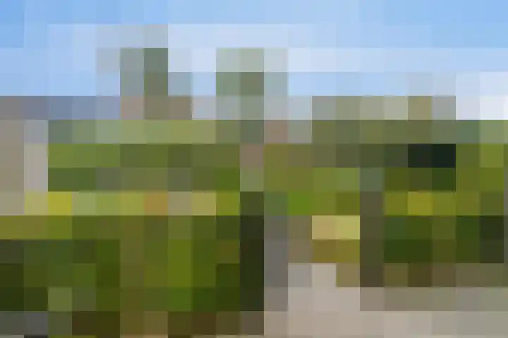 Rembrandtstraat 62 Oud-Beijerland thumbnail 37