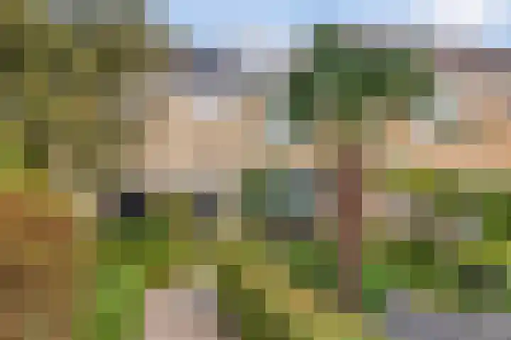 Rembrandtstraat 62 Oud-Beijerland thumbnail 6