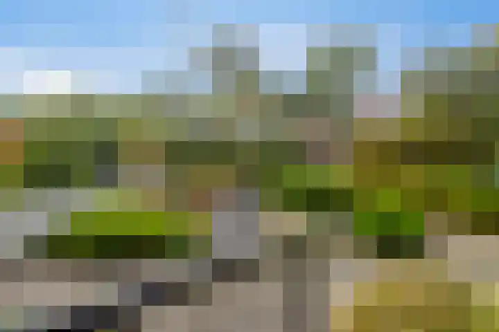 Rembrandtstraat 62 Oud-Beijerland thumbnail 8