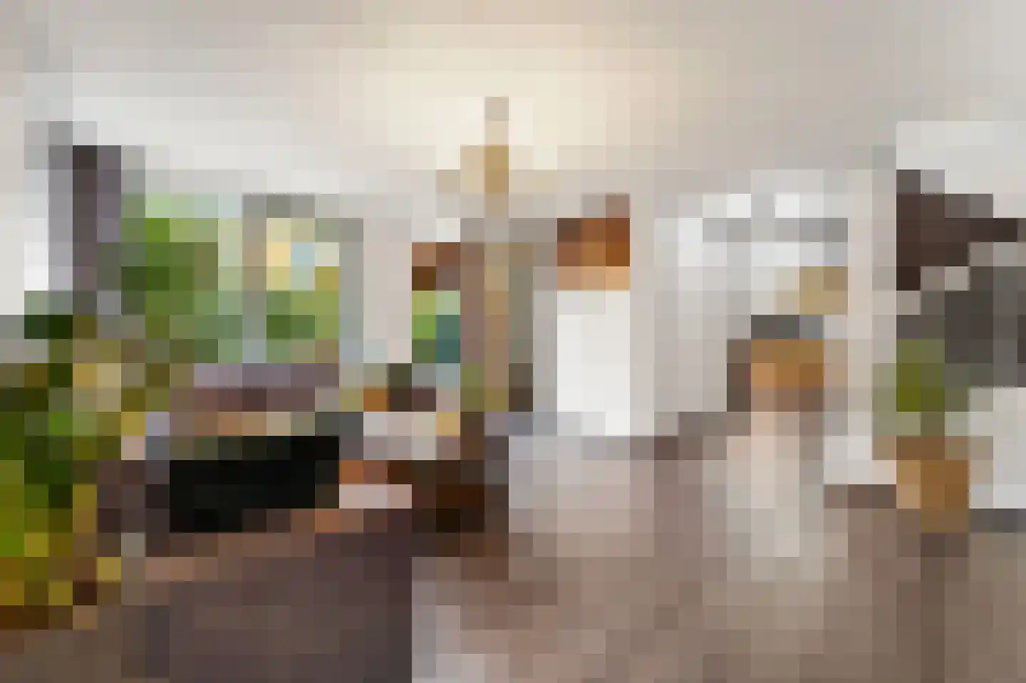 Rembrandtstraat 64 Den Haag thumbnail 14