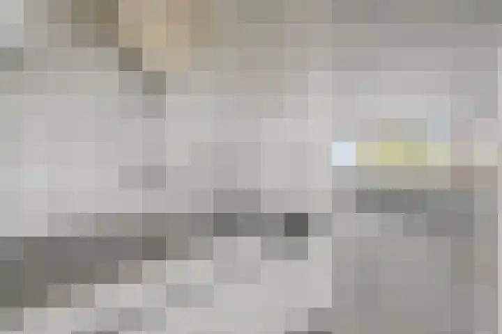 Rembrandtstraat 65 Dongen thumbnail 15
