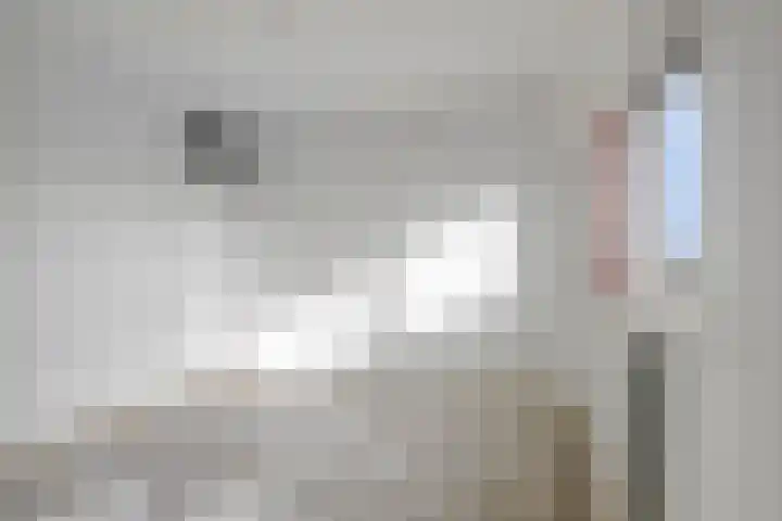 Rembrandtstraat 65 Dongen thumbnail 20