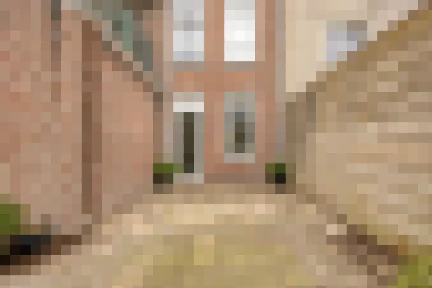 Rembrandtstraat 67 C Den Haag thumbnail 17