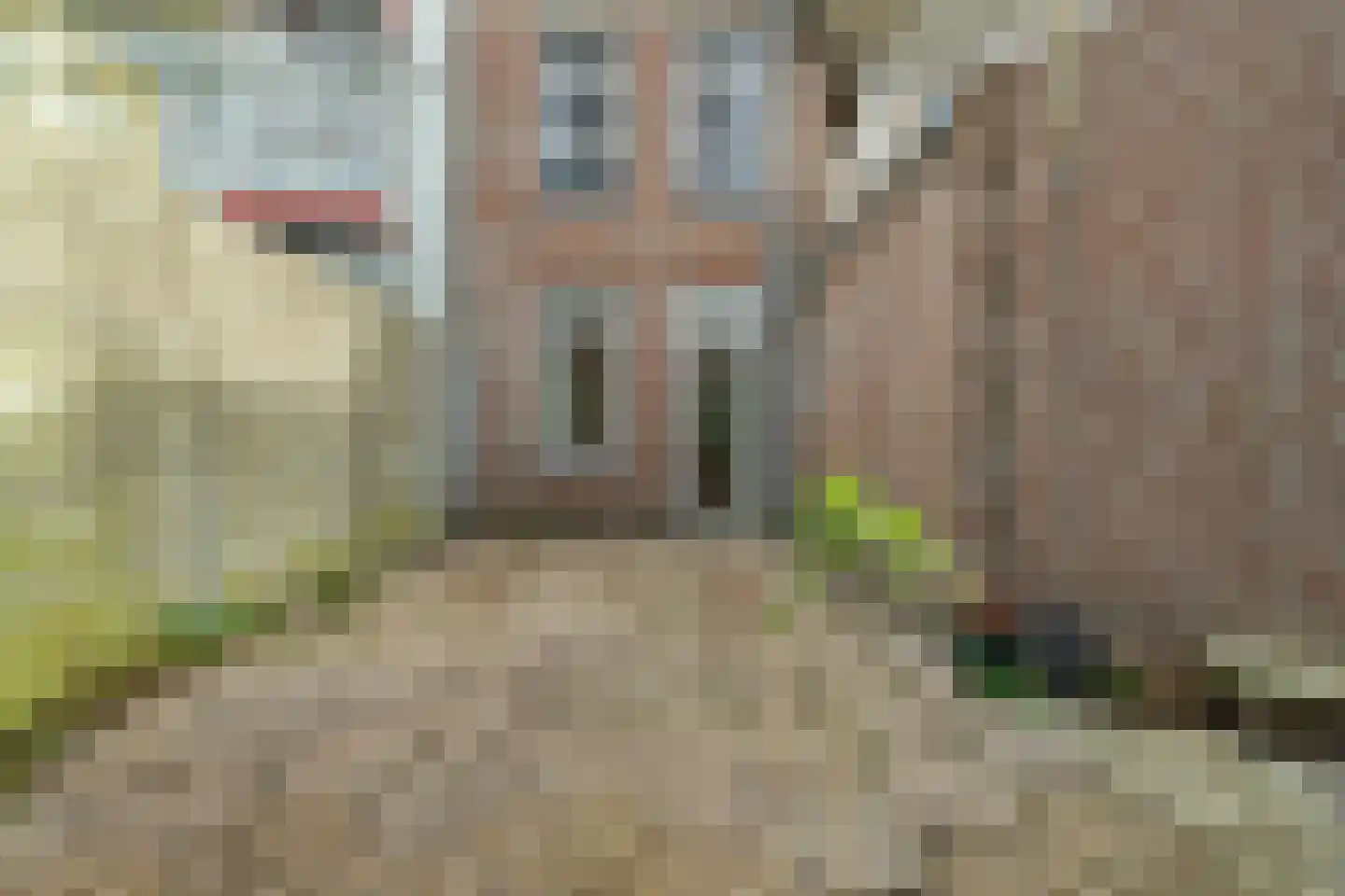 Rembrandtstraat 67 Den Haag thumbnail 30