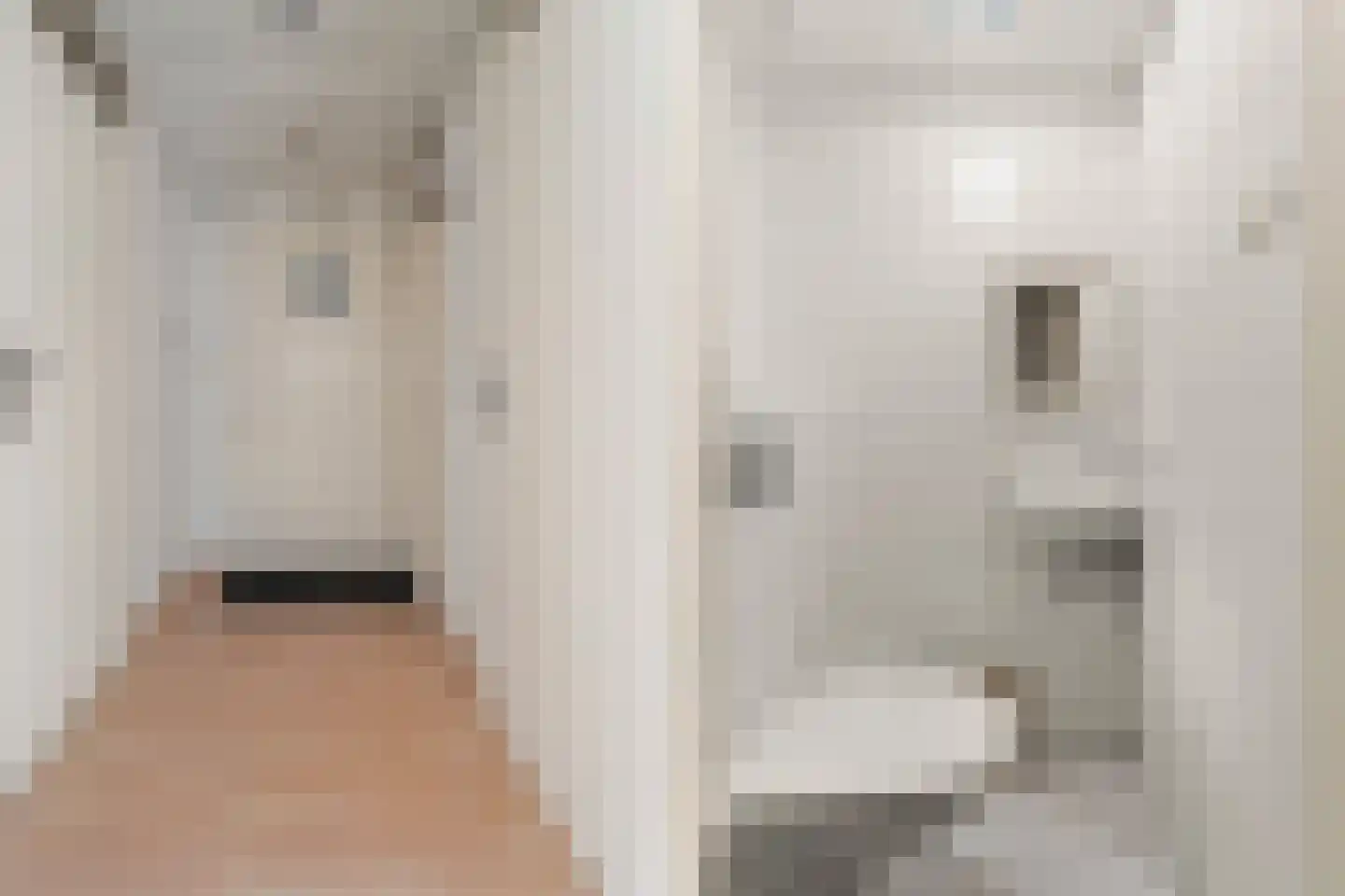 Rembrandtstraat 67 Den Haag thumbnail 8
