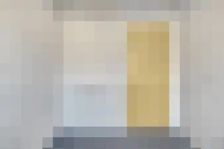 Rembrandtstraat 7 Heinkenszand thumbnail 20