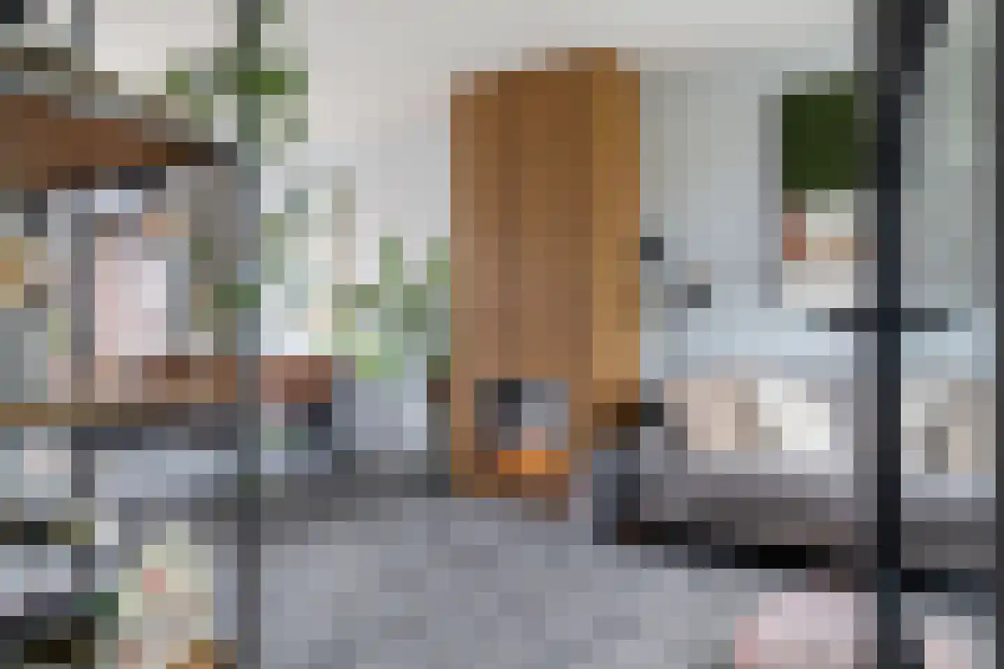 Rembrandtstraat 7 Hoogeveen thumbnail 13
