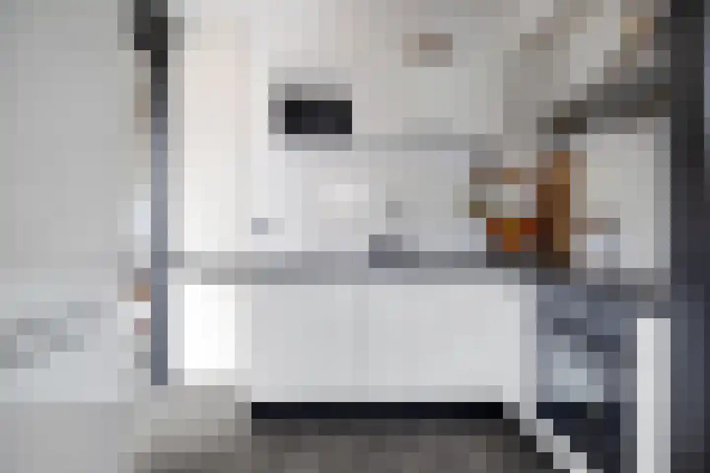 Rembrandtstraat 7 Hoogeveen thumbnail 16